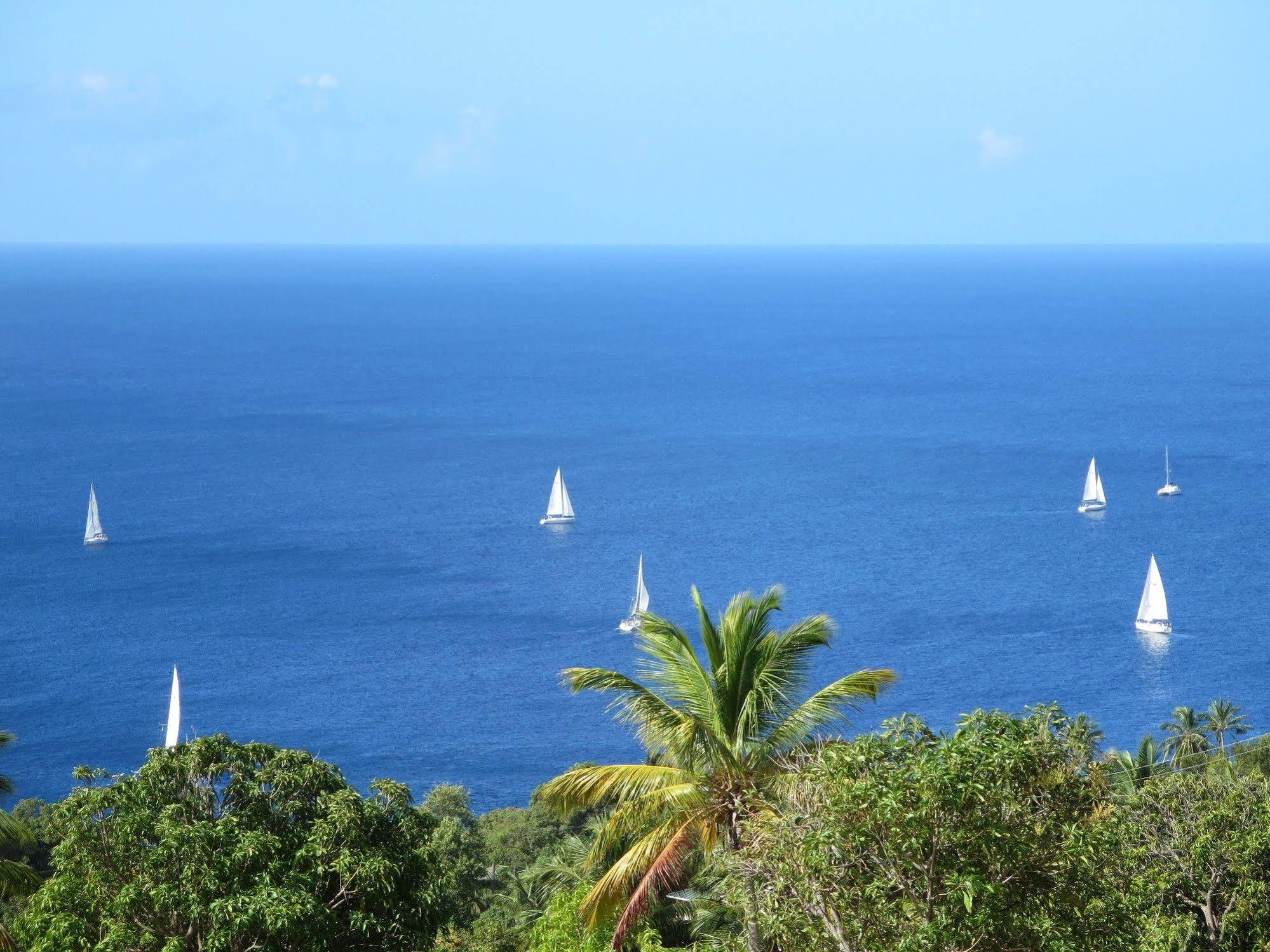 Tet Rouge Resort Soufrière Buitenkant foto