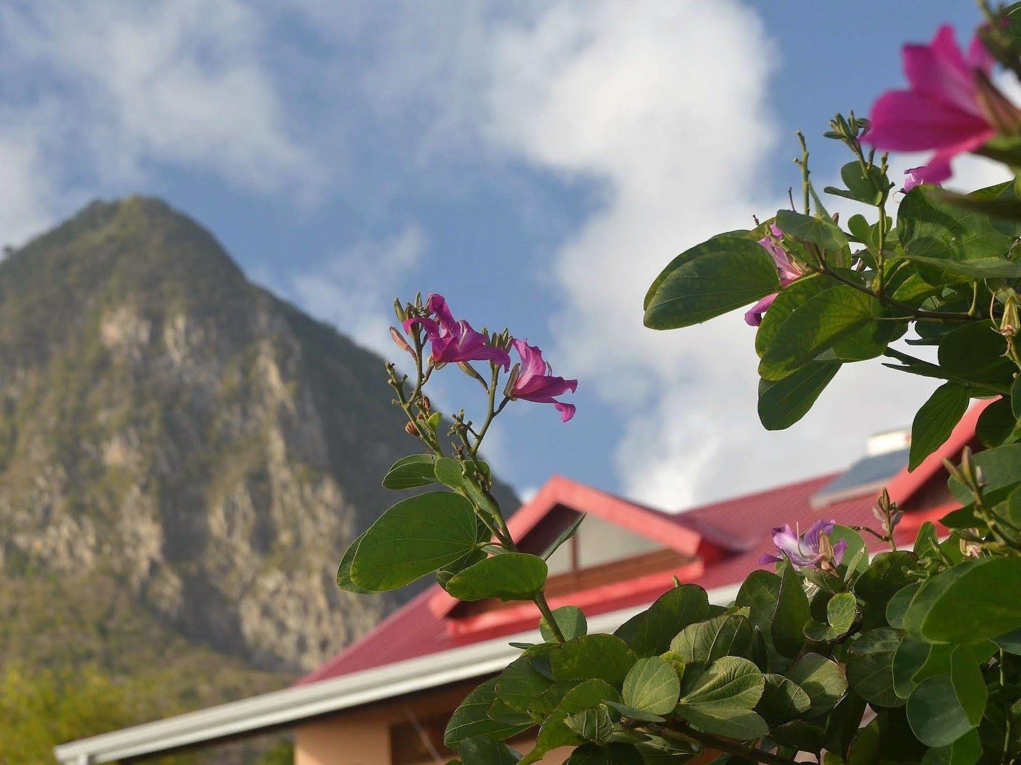 Tet Rouge Resort Soufrière Buitenkant foto